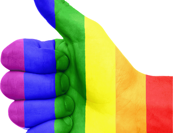 “7 Organizações Não Governamentais de Acolhimento e Apoio à Comunidade LGBT+”