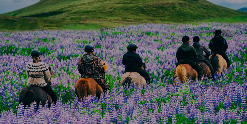 Gosta de viajar sozinho(a)? Dica de turismo pra hoje